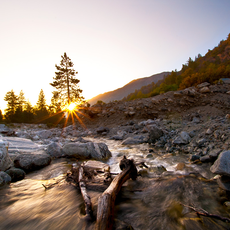 Backlit water Vivian Creek