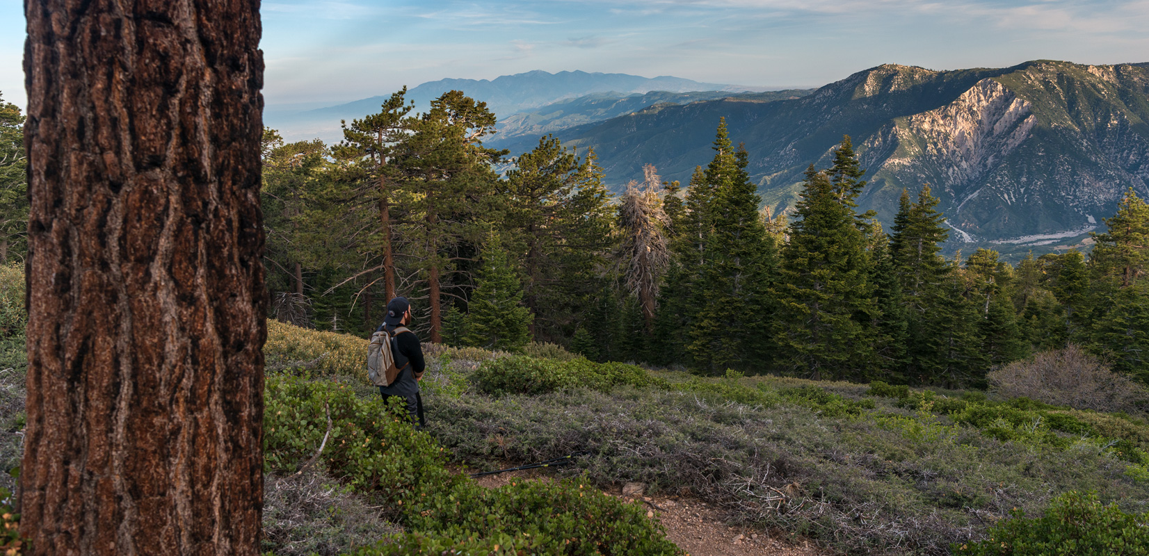 San Bernardino Peak trail