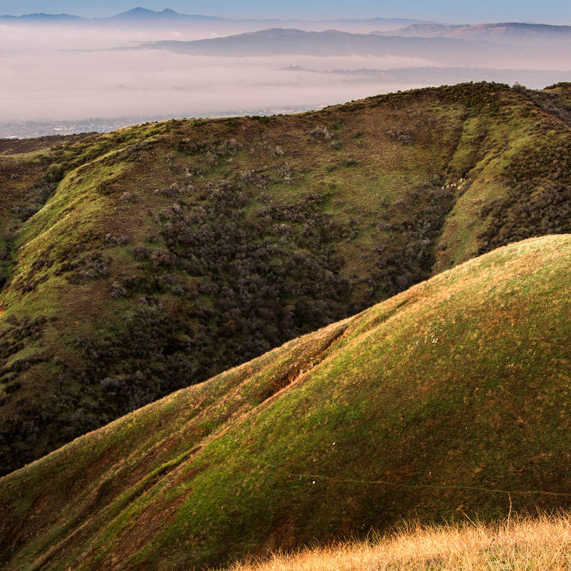 Spring grass and colors in Crafton Hills