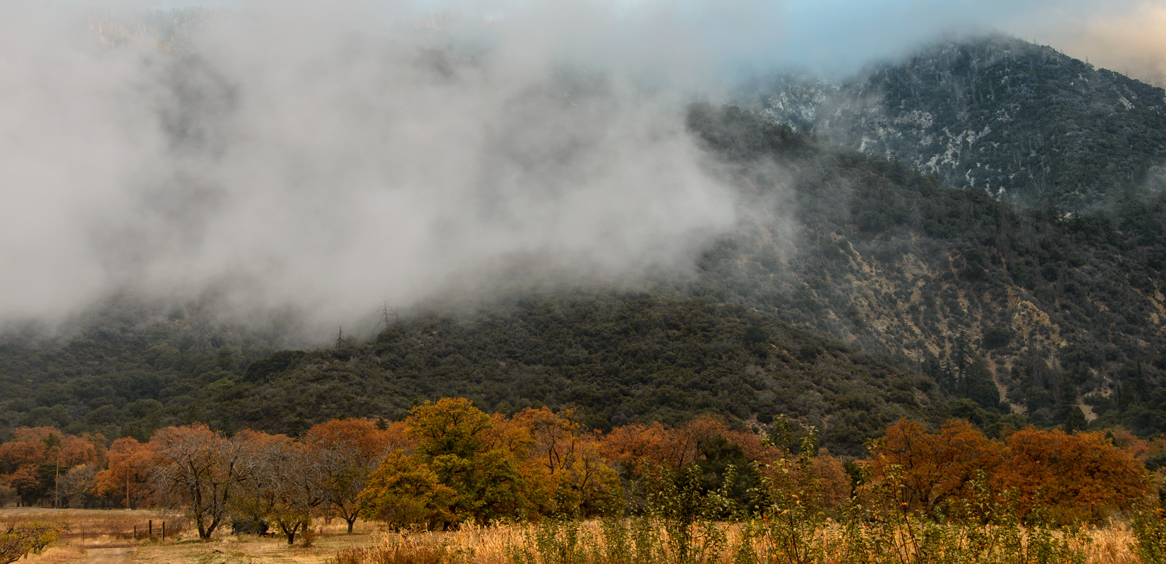 Autumn colors in Oak Glen