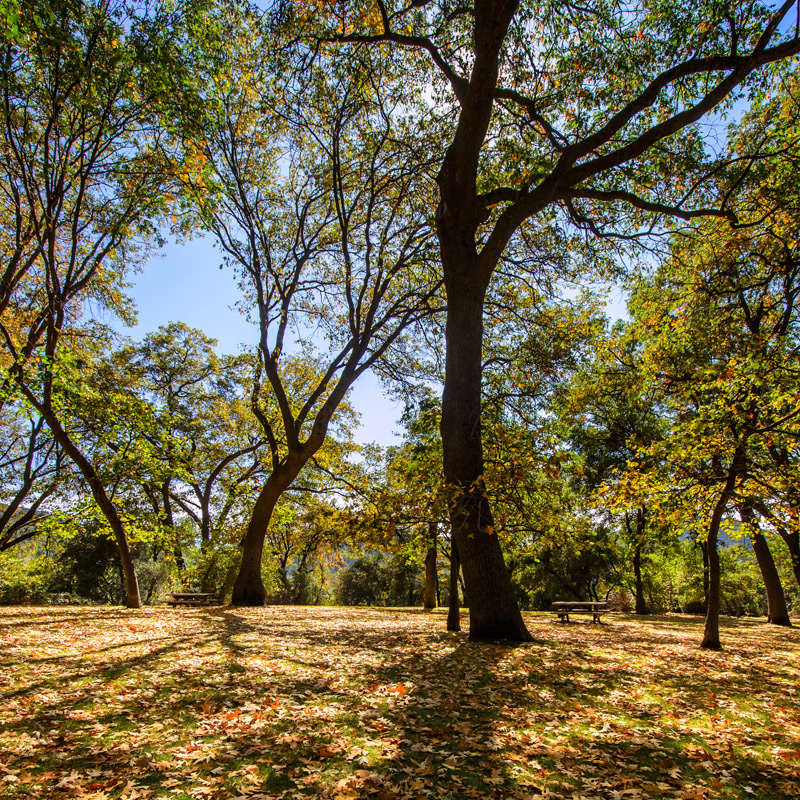 Oak Knoll Park in Oak Glen