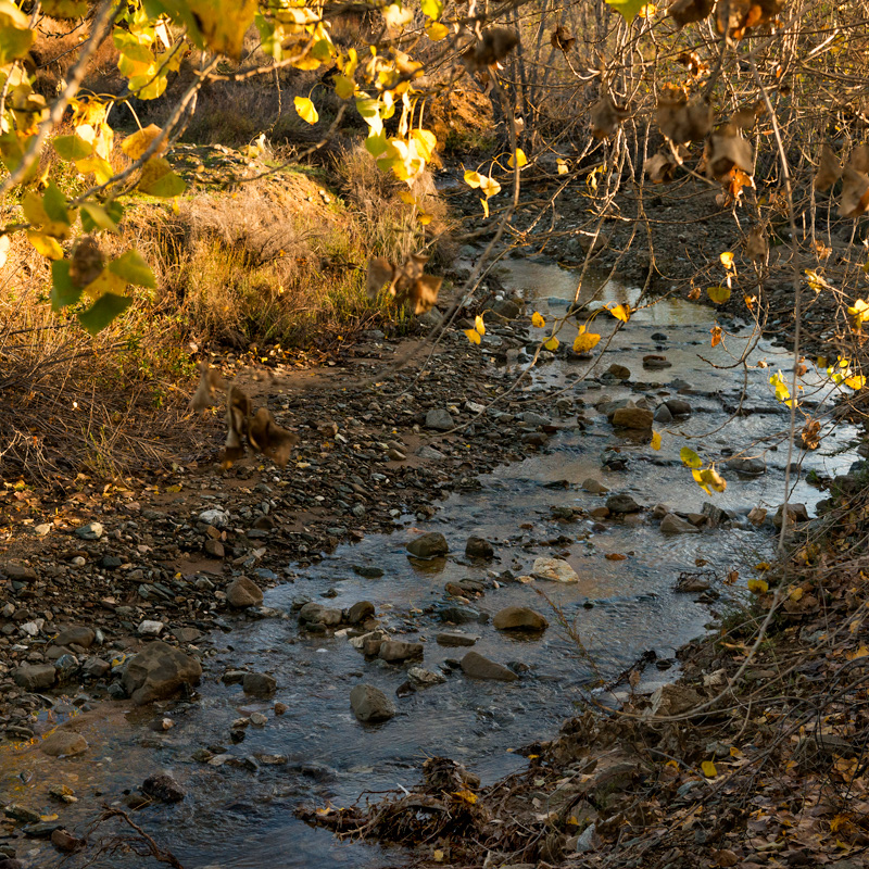 Pendleton Creek in Yucaipa
